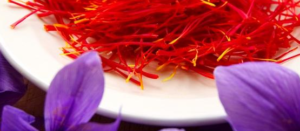 Saffron Extract For Adhd Adults